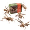 Widdop & Co Widdop Gift In A Tin - Build A Bug Adventure Kit -Home Furnishings Store 107116 widdop gift in a tin build a bug adventure kit 2