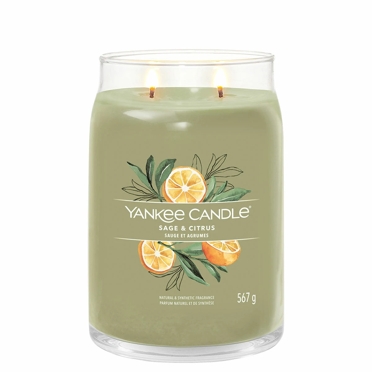 Yankee Candle Sage & Citrus Signature Large Jar Candle 4 Yankee Candle Sage & Citrus Signature Large Jar Candle - Image 2
