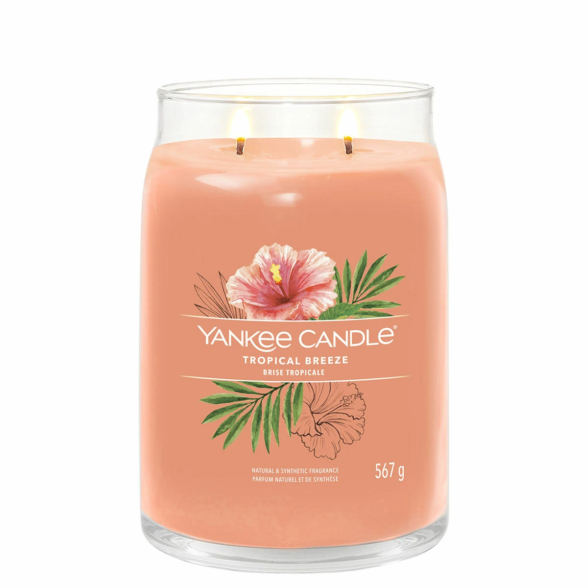 Yankee Candle Tropical Breeze Signature Large Jar Candle 4 Yankee Candle Tropical Breeze Signature Large Jar Candle - Image 2