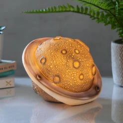 House Of Disaster Colour Changing Planet Lamp 9 House Of Disaster Colour Changing Planet Lamp -Home Furnishings Store disaster design gbrplacc colour changing planet lamp 4