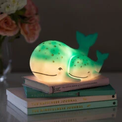 House Of Disaster LED Rechargeable Whale And Baby Lamp