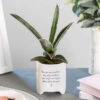 East Of India ‘You Are My Sunshine’ Planter 2 East Of India ‘You Are My Sunshine’ Planter -Home Furnishings Store east of india eoi 5766 you are my sunshine planter lifestyle