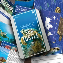Gift Republic Adopt A Sea Turtle