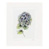 Toasted Crumpet ‘Hydrangea’ 10” X 12” Fine Art Print 1 Toasted Crumpet ‘Hydrangea’ 10” X 12” Fine Art Print -Home Furnishings Store gp19 toasted crumpet hydrangea 10 x 12 fine art print 01 1