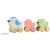 Orange Tree Toys Spring Garden Pull Along Birdies -Home Furnishings Store orange tree ott09213 spring garden pull along birdies 1