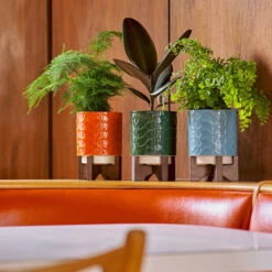 Orla Kiely Sixties Stem Sky Ceramic Plant Pot -Home Furnishings Store orla kiely lifestyle ok643 ok644 1