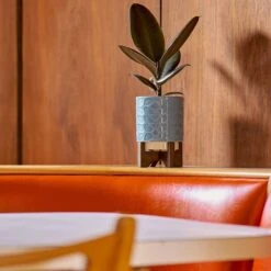 Orla Kiely Sixties Stem Sky Ceramic Plant Pot -Home Furnishings Store orla kiely lifestyle ok644