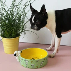 House Of Disaster Peanuts Dog Bowl -Home Furnishings Store peadogbo house of disaster peanuts dog bowl lifestyleh