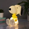 House Of Disaster Peanuts LED Snoopy & Woodstock Light -Home Furnishings Store pealedsi house of disaster peanuts led snoopy woodstock light ls