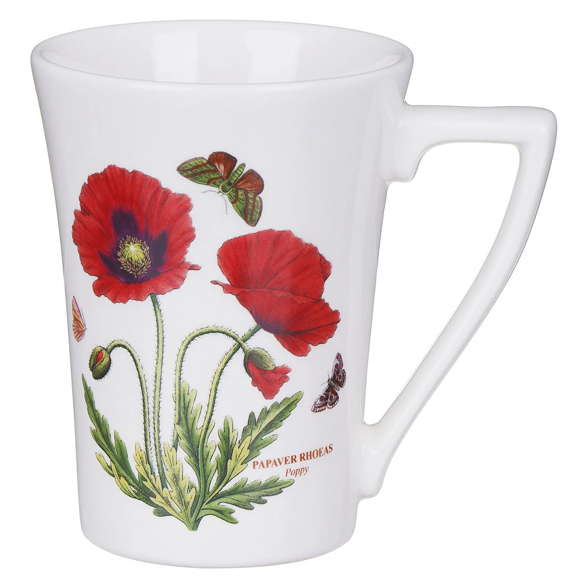 Botanic Garden Set Of 6 Mandarin Shape Mugs 9 Botanic Garden Set Of 6 Mandarin Shape Mugs - Image 7