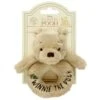 Winnie The Pooh Hundred Acre Wood Winnie The Pooh Ring Rattle -Home Furnishings Store rainbow designs dn1462 winnie the pooh ring rattle 2 1