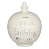 Temptation ‘Special Birthday’ Silver On Cream Money Pot