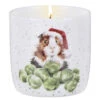 Wrendale ‘Sprouts’ Fragranced Jar Christmas Candle