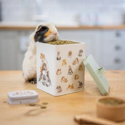 Wrendale Guinea Pig/Rabbit Treat Tin -Home Furnishings Store wrendale designs pettn003 square guinea pig and rabbit treat tin lifestyle 1
