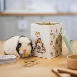 Wrendale Guinea Pig/Rabbit Treat Tin -Home Furnishings Store wrendale designs pettn003 square guinea pig and rabbit treat tin lifestyle 2