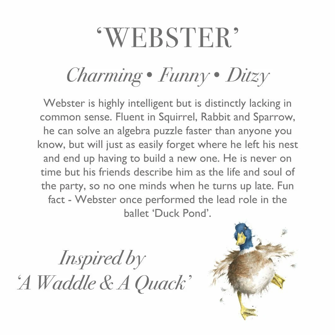 Wrendale Plush Webster Duck 3 Wrendale Plush Webster Duck