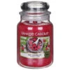 Yankee Candle Red Raspberry Large Jar Candle -Home Furnishings Store yankee candle 1323186 red raspberry large jar candle 1
